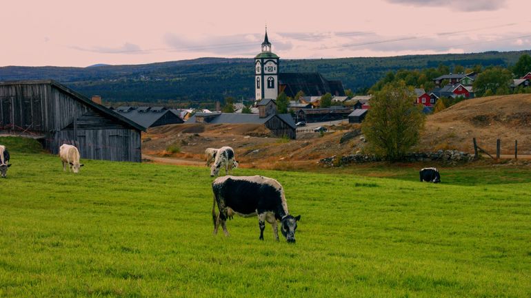 Røros Foto: Røros kommune