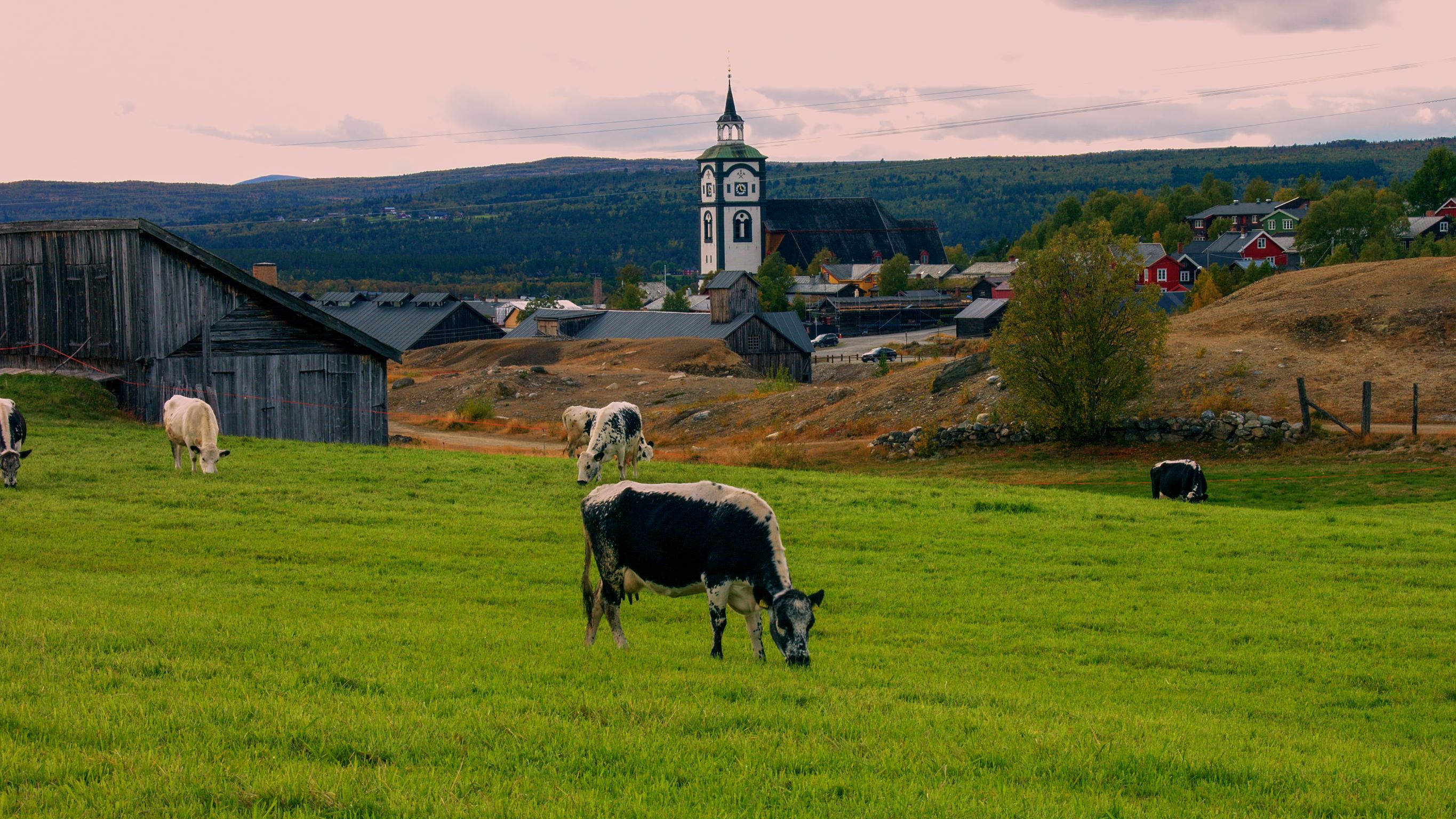 Røros Foto: Røros kommune